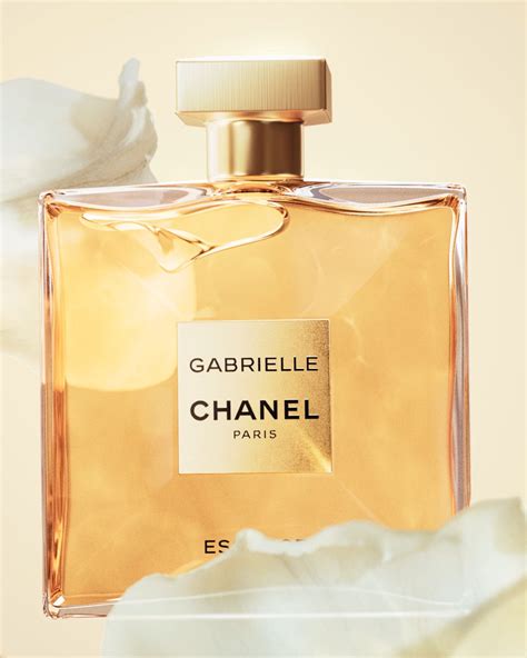 raddit chanel gabrielle|I love Chanel Gabrielle even though I think I am supposed to.